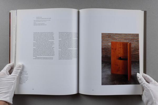 Donald Judd : Donald Judd  - Asta Libri d'Artista e Cataloghi d'Arte - Associazione Nazionale - Case d'Asta italiane