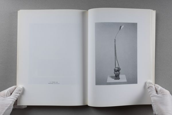 Cy Twombly : Cy Twombly. Paintings. Work on paper. Sculpture  - Asta Libri d'Artista e Cataloghi d'Arte - Associazione Nazionale - Case d'Asta italiane