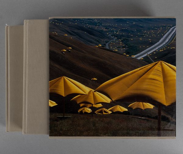 Christo : The Umbrellas, Japan-USA 1984-1991  - Asta Libri d'Artista e Cataloghi d'Arte - Associazione Nazionale - Case d'Asta italiane