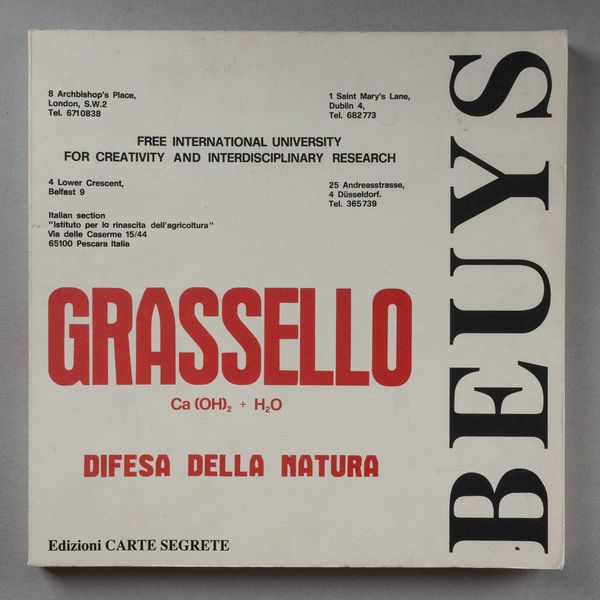 JOSEPH BEUYS : Joseph Beuys. Grassello, difesa della natura  - Asta Libri d'Artista e Cataloghi d'Arte - Associazione Nazionale - Case d'Asta italiane