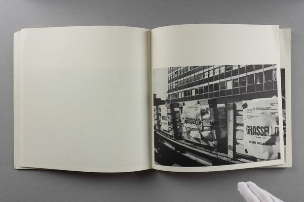 JOSEPH BEUYS : Joseph Beuys. Grassello, difesa della natura  - Asta Libri d'Artista e Cataloghi d'Arte - Associazione Nazionale - Case d'Asta italiane
