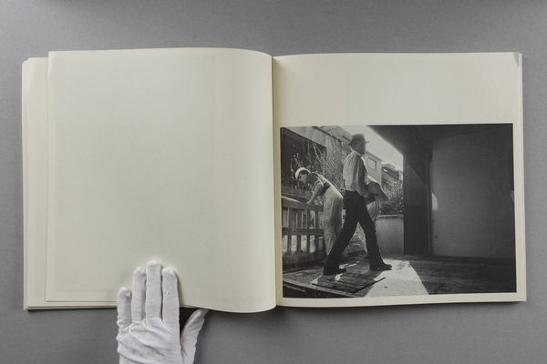 JOSEPH BEUYS : Joseph Beuys. Grassello, difesa della natura  - Asta Libri d'Artista e Cataloghi d'Arte - Associazione Nazionale - Case d'Asta italiane