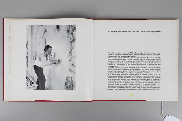 ASGER JORN : Jorn/Cuba - Jorn/Le jardin d'Albisola  - Asta Libri d'Artista e Cataloghi d'Arte - Associazione Nazionale - Case d'Asta italiane