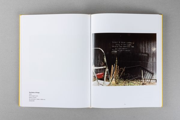 JIM DINE : Jim Dine. The photographs, so far  - Asta Libri d'Artista e Cataloghi d'Arte - Associazione Nazionale - Case d'Asta italiane