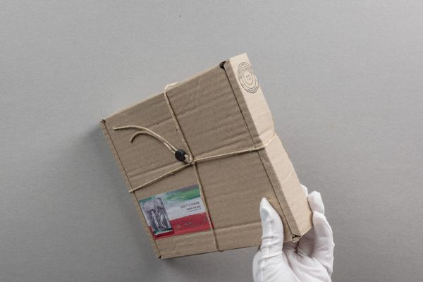 Giosetta Fioroni : Sogno italiano fra i segreti di Giosetta Fioroni  - Asta Libri d'Artista e Cataloghi d'Arte - Associazione Nazionale - Case d'Asta italiane