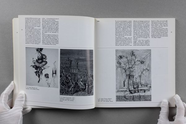 Domenico Gnoli : Gnoli  - Asta Libri d'Artista e Cataloghi d'Arte - Associazione Nazionale - Case d'Asta italiane