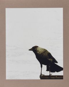 MICHELANGELO PISTOLETTO : Cartella A  - Asta Libri d'Artista e Cataloghi d'Arte - Associazione Nazionale - Case d'Asta italiane