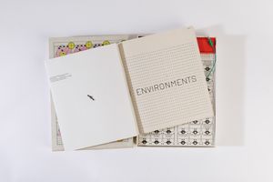 ARTISTI VARI : Environments  - Asta Libri d'Artista e Cataloghi d'Arte - Associazione Nazionale - Case d'Asta italiane