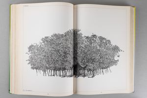 ARTISTI VARI : L'architettura degli alberi  - Asta Libri d'Artista e Cataloghi d'Arte - Associazione Nazionale - Case d'Asta italiane