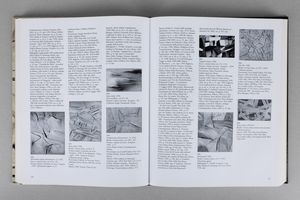 Salvatore Scarpitta : Salvatore Scarpitta. Catalogue Raisonné  - Asta Libri d'Artista e Cataloghi d'Arte - Associazione Nazionale - Case d'Asta italiane