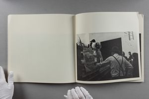 JOSEPH BEUYS : Joseph Beuys. Grassello, difesa della natura  - Asta Libri d'Artista e Cataloghi d'Arte - Associazione Nazionale - Case d'Asta italiane