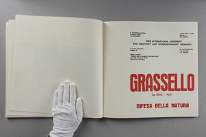 JOSEPH BEUYS : Joseph Beuys. Grassello, difesa della natura  - Asta Libri d'Artista e Cataloghi d'Arte - Associazione Nazionale - Case d'Asta italiane