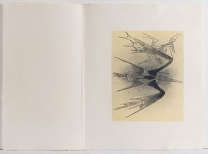 Wifredo Lam : Apostroph' apocalypse  - Asta Libri d'Artista e Cataloghi d'Arte - Associazione Nazionale - Case d'Asta italiane