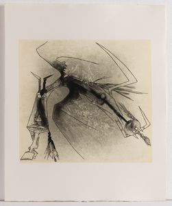 Wifredo Lam : Apostroph' apocalypse  - Asta Libri d'Artista e Cataloghi d'Arte - Associazione Nazionale - Case d'Asta italiane