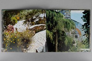 ASGER JORN : Jorn/Cuba - Jorn/Le jardin d'Albisola  - Asta Libri d'Artista e Cataloghi d'Arte - Associazione Nazionale - Case d'Asta italiane