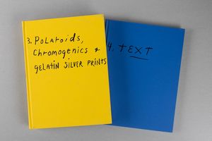 JIM DINE : Jim Dine. The photographs, so far  - Asta Libri d'Artista e Cataloghi d'Arte - Associazione Nazionale - Case d'Asta italiane