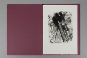 Hiroshi Teshigahara : Teshigahara Hiroshi  - Asta Libri d'Artista e Cataloghi d'Arte - Associazione Nazionale - Case d'Asta italiane