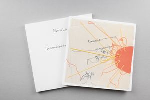 MARIA LAI : Tenendo per mano il sole  - Asta Libri d'Artista e Cataloghi d'Arte - Associazione Nazionale - Case d'Asta italiane