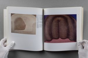 Domenico Gnoli : Gnoli  - Asta Libri d'Artista e Cataloghi d'Arte - Associazione Nazionale - Case d'Asta italiane