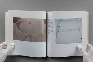 Domenico Gnoli : Gnoli  - Asta Libri d'Artista e Cataloghi d'Arte - Associazione Nazionale - Case d'Asta italiane