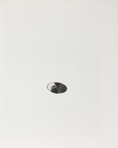 Giulio Paolini : L'Exil du cygne  - Asta Libri d'Artista e Cataloghi d'Arte - Associazione Nazionale - Case d'Asta italiane