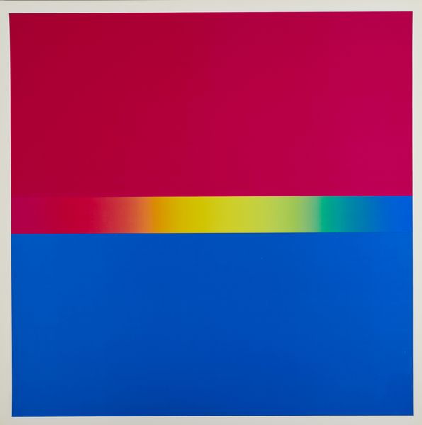 ALVIANI GETULIO (n. 1939) : Cromie spettrologiche.  - Asta Asta 399 | GRAFICA MODERNA, FOTOGRAFIA E MULTIPLI D'AUTORE Online - Associazione Nazionale - Case d'Asta italiane