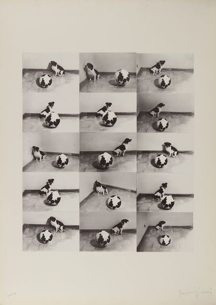 PARMIGGIANI CLAUDIO (n. 1943) : Senza titolo.  - Asta Asta 399 | GRAFICA MODERNA, FOTOGRAFIA E MULTIPLI D'AUTORE Online - Associazione Nazionale - Case d'Asta italiane