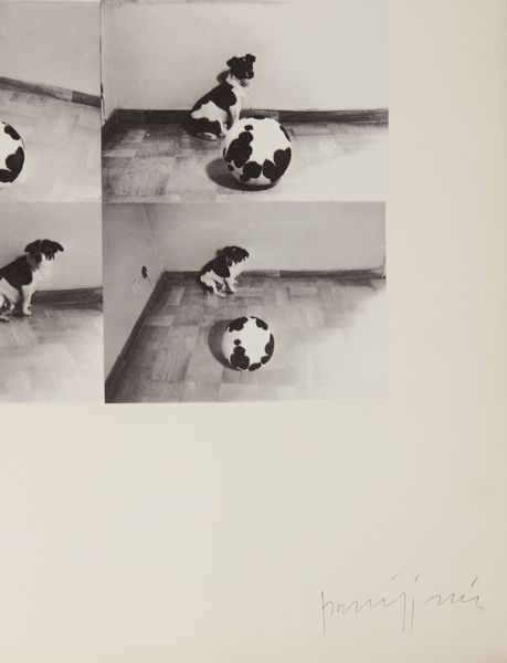 PARMIGGIANI CLAUDIO (n. 1943) : Senza titolo.  - Asta Asta 399 | GRAFICA MODERNA, FOTOGRAFIA E MULTIPLI D'AUTORE Online - Associazione Nazionale - Case d'Asta italiane