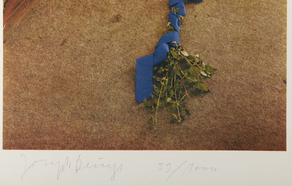 BEUYS JOSEPH (1921 - 1986) : Vitex Agnus Castus.  - Asta Asta 399 | GRAFICA MODERNA, FOTOGRAFIA E MULTIPLI D'AUTORE Online - Associazione Nazionale - Case d'Asta italiane