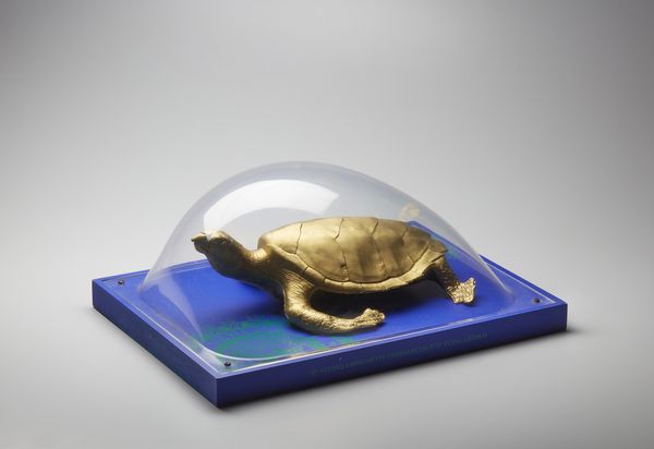 CRACKING ART GROUP (n. 1993) : S.O.S World. Testuggini A Venezia.  - Asta Asta 399 | GRAFICA MODERNA, FOTOGRAFIA E MULTIPLI D'AUTORE Online - Associazione Nazionale - Case d'Asta italiane