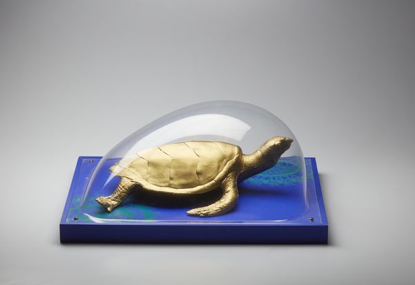 CRACKING ART GROUP (n. 1993) : S.O.S World. Testuggini A Venezia.  - Asta Asta 399 | GRAFICA MODERNA, FOTOGRAFIA E MULTIPLI D'AUTORE Online - Associazione Nazionale - Case d'Asta italiane