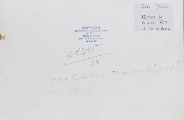 DI BELLA ALFIO : Lotto composto da n.2 fotografie. Inaugurazione mostra Jospeh Cossut. Mostra di Emilio Prini.  - Asta Asta 399 | GRAFICA MODERNA, FOTOGRAFIA E MULTIPLI D'AUTORE Online - Associazione Nazionale - Case d'Asta italiane