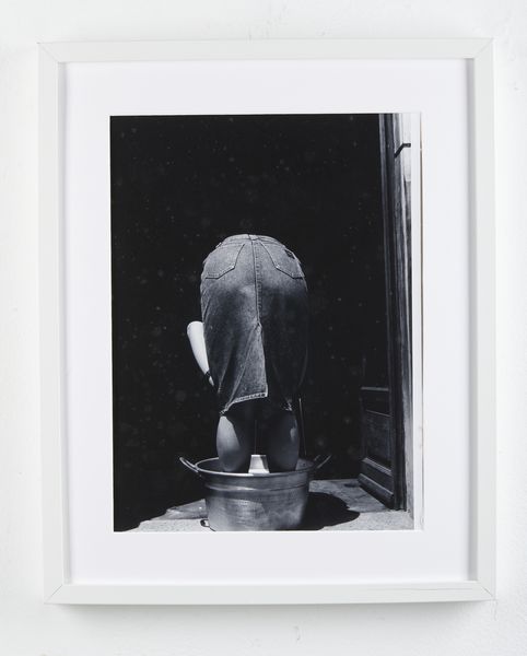 RAPISARDA TURI : Piante.  - Asta Asta 399 | GRAFICA MODERNA, FOTOGRAFIA E MULTIPLI D'AUTORE Online - Associazione Nazionale - Case d'Asta italiane