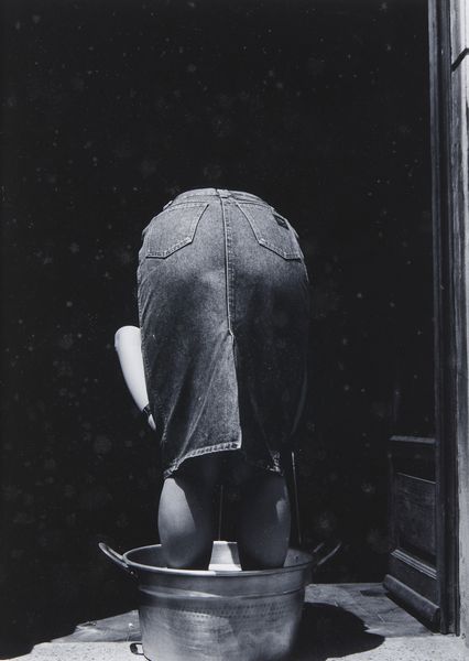 RAPISARDA TURI : Piante.  - Asta Asta 399 | GRAFICA MODERNA, FOTOGRAFIA E MULTIPLI D'AUTORE Online - Associazione Nazionale - Case d'Asta italiane