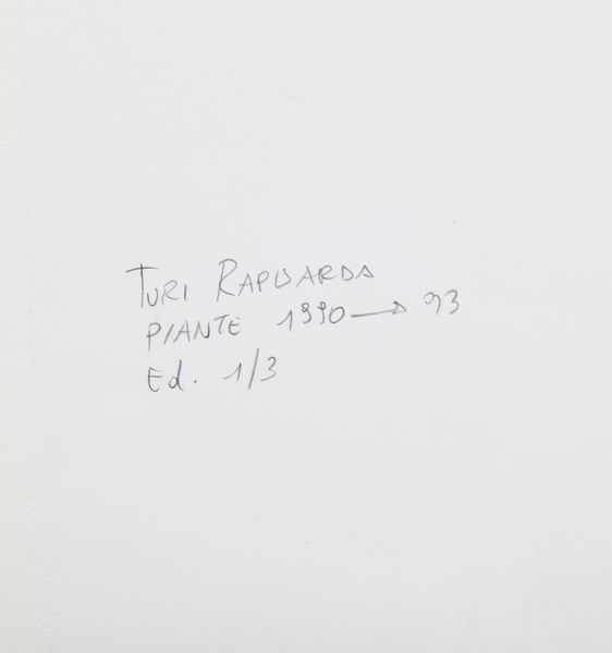 RAPISARDA TURI : Piante.  - Asta Asta 399 | GRAFICA MODERNA, FOTOGRAFIA E MULTIPLI D'AUTORE Online - Associazione Nazionale - Case d'Asta italiane
