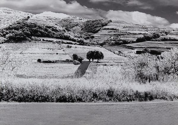 GHARIB ABBAS (n. 1942) : Roads.  - Asta Asta 399 | GRAFICA MODERNA, FOTOGRAFIA E MULTIPLI D'AUTORE Online - Associazione Nazionale - Case d'Asta italiane