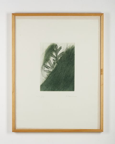 RAINER ARNULF (n. 1929) : Eichenblatt.  - Asta Asta 399 | GRAFICA MODERNA, FOTOGRAFIA E MULTIPLI D'AUTORE Online - Associazione Nazionale - Case d'Asta italiane