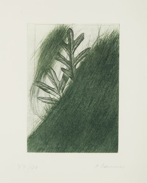 RAINER ARNULF (n. 1929) : Eichenblatt.  - Asta Asta 399 | GRAFICA MODERNA, FOTOGRAFIA E MULTIPLI D'AUTORE Online - Associazione Nazionale - Case d'Asta italiane