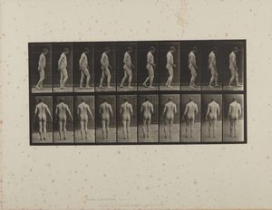 MUYBRIDGE EADWEARD (1830 - 1904) - Animal Locomotion, Volume VIII, Abnormal Movements, Men and Women (Nude and Semi-Nude). Plate 553.