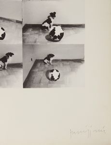 PARMIGGIANI CLAUDIO (n. 1943) : Senza titolo.  - Asta Asta 399 | GRAFICA MODERNA, FOTOGRAFIA E MULTIPLI D'AUTORE Online - Associazione Nazionale - Case d'Asta italiane