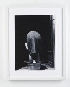 RAPISARDA TURI : Piante.  - Asta Asta 399 | GRAFICA MODERNA, FOTOGRAFIA E MULTIPLI D'AUTORE Online - Associazione Nazionale - Case d'Asta italiane