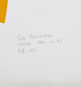 RAPISARDA TURI : Piante.  - Asta Asta 399 | GRAFICA MODERNA, FOTOGRAFIA E MULTIPLI D'AUTORE Online - Associazione Nazionale - Case d'Asta italiane