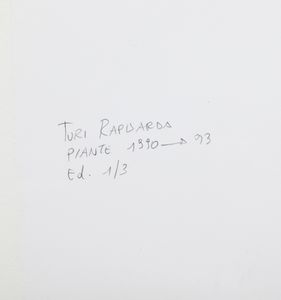 RAPISARDA TURI : Piante.  - Asta Asta 399 | GRAFICA MODERNA, FOTOGRAFIA E MULTIPLI D'AUTORE Online - Associazione Nazionale - Case d'Asta italiane