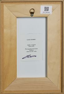 CHARRO CYRILLE (n. 1979) : Sylphe,femme � la fum�e.  - Asta Asta 399 | GRAFICA MODERNA, FOTOGRAFIA E MULTIPLI D'AUTORE Online - Associazione Nazionale - Case d'Asta italiane