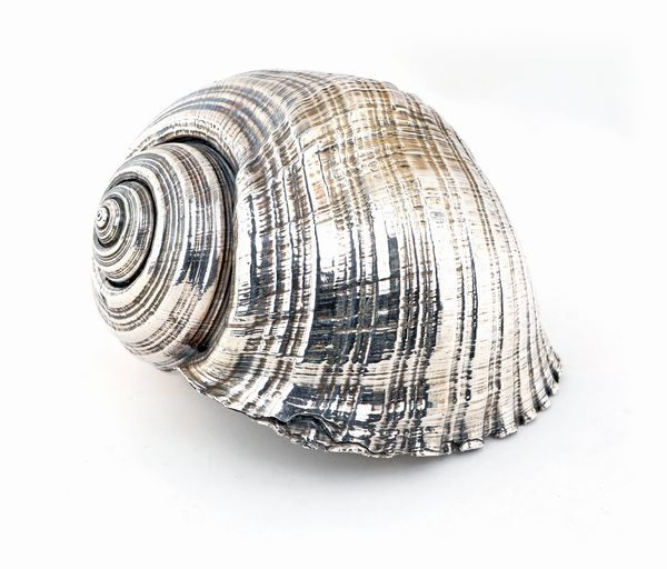 Conchiglia rivestita in lamina d'argento  - Asta Argenti Antichi e da Collezione - Associazione Nazionale - Case d'Asta italiane