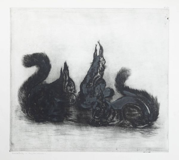 FELICE VELLAN Torino 1889 - 1976 : Scoiattoli  - Asta Grafica - Associazione Nazionale - Case d'Asta italiane