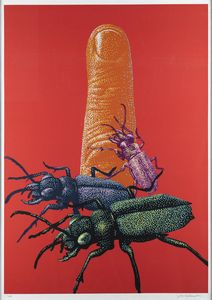 GABRIELE AMADORI Ferrara 1946 - Scarabei