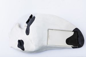 ENZO CUCCHI - Un pensiero di Italo Rota nella testa di Enzo Cucchi