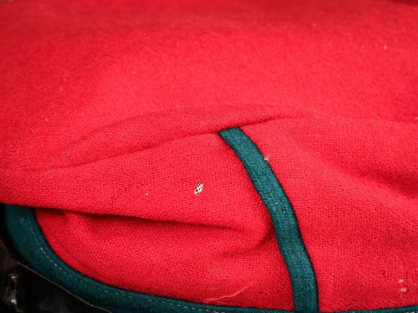 Berretto Associzione Nazionale Garibaldini  - Asta L'Arte di Arredare - Associazione Nazionale - Case d'Asta italiane