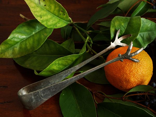 Lotto di accessori per la tavola d'epoca  - Asta L'Arte di Arredare - Associazione Nazionale - Case d'Asta italiane